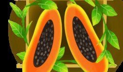 吃瓜贴纸素材下载安装免费,免费下载安装吃瓜贴纸，轻松打造趣味文章副标题