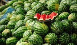 网红吃瓜群黑历史,那些被遗忘的黑历史瞬间